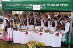 2012- Sukces _Grębowianek_ we Wrzawach