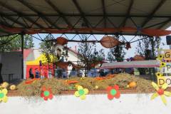 IMG_5881