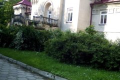 IMG_20170525_174141