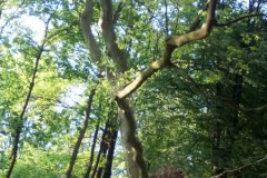 IMG_20170525_181028