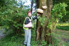 IMG_20170525_181403