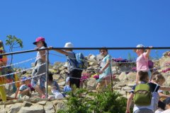 IMG_0548