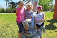 IMG_0559