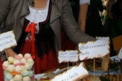 Obraz 013 (1)