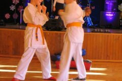 IMG_3005