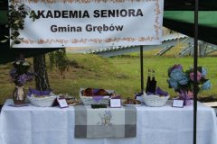 IMG_0416