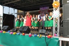 IMG_0782