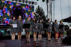 20220710_MINIATURY_DNI_GREBOWA-80