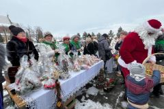 IMG_6015