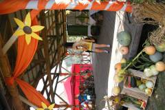 DSCF4139