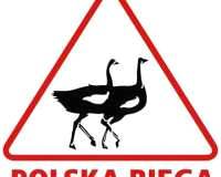 C_Users_czytelnia_Desktop_polska_biega_1300701498