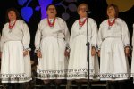 IMG_8199