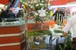 IMG_2328-edytowane