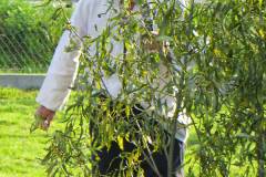 IMG_1034-edytowane