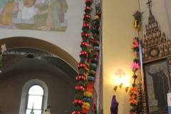 IMG_4882