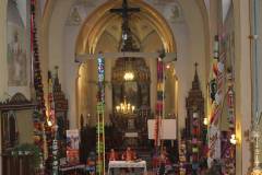 IMG_4887