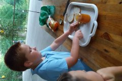 20160827_192156(1)