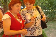 DSC03082