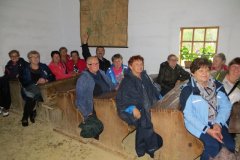 IMG_8007