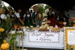 Obraz 007 (1)