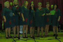 IMG_7110