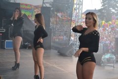 DSC_1201