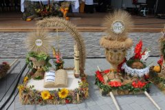 IMG_2406