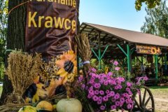 Dożynki-Krawce-2024-4