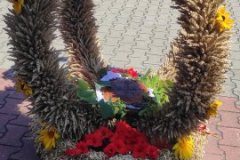 IMG_20230813_123219