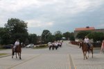 IMG_0537