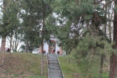 IMG_1707