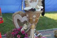 IMG_0645