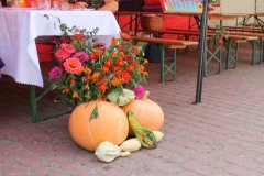IMG_0687