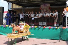 IMG_0705