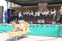 IMG_0706