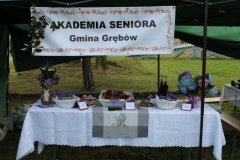 Jagodowa niedziela