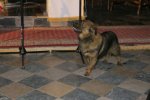 IMG_1696