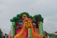 IMG_1842