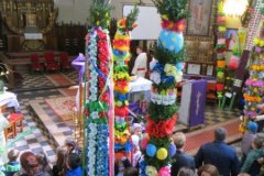 IMG_6042