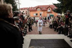 Palmowa-79