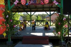 DSCF0042
