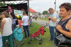 IMG_0669