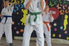 IMG_0745