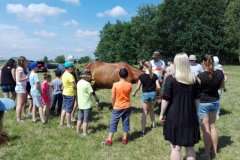 IMG_20180603_104419