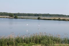 IMG_2053