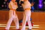IMG_3005