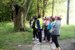 IMG_20170525_181123